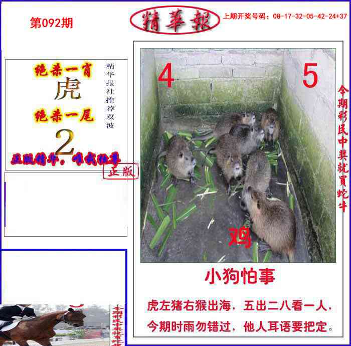 092期新精华报报[图]